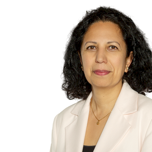 Prof. Dr.  Anahita Jablonski-Momeni 