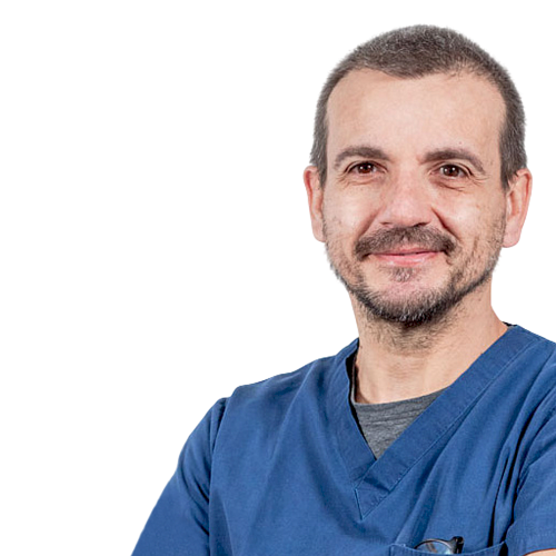 Dr. Fabio  Bernardello 